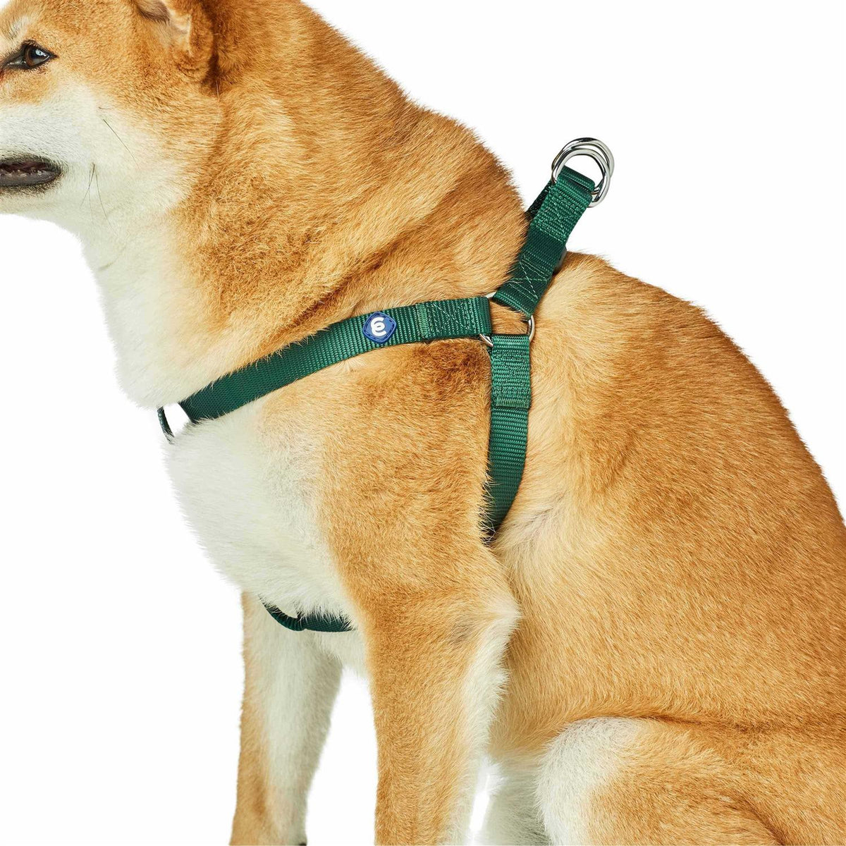 Classic Solid Nylon Step-In Dog Harness B412