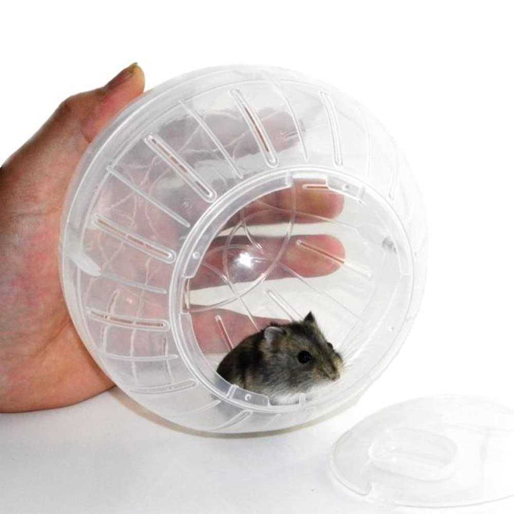 Hamster Exercise Ball Transparent D61098
