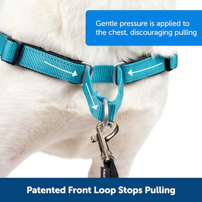 Easy Walk Harness W8074
