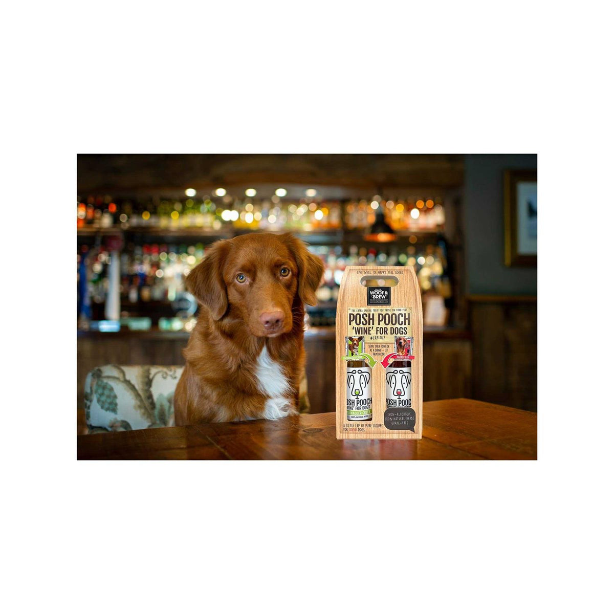 Dog Wine Duo Pack W145298