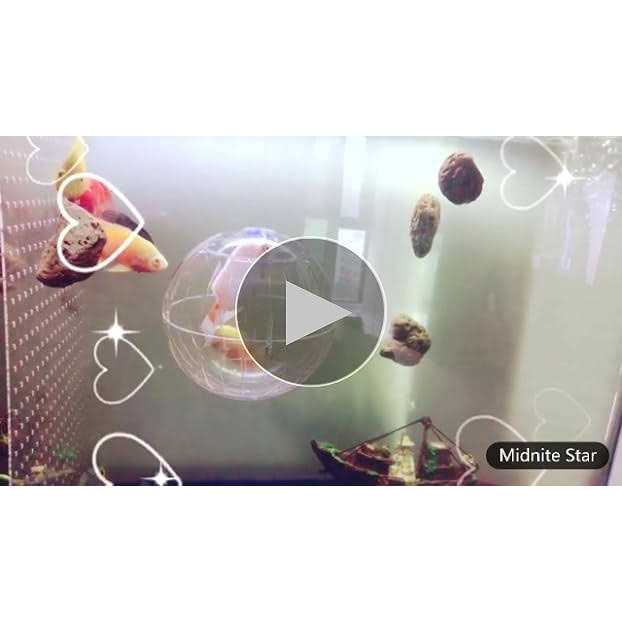 Hamster Exercise Ball Transparent N2436