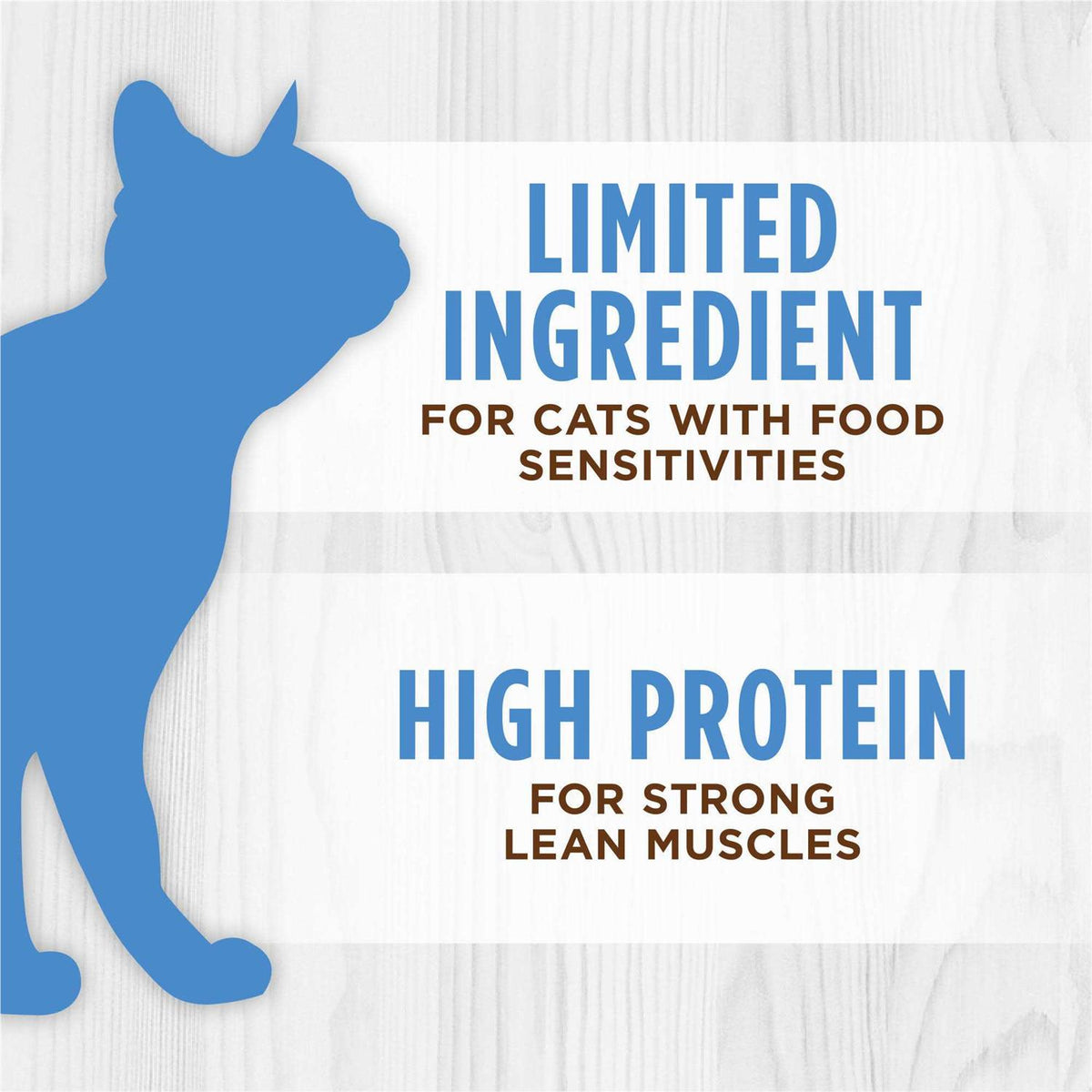 Grain Free Turkey Cat Food O72353