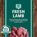 Roasted Lamb & Butternut Squash Grain-Free Dry Dog Food I46597