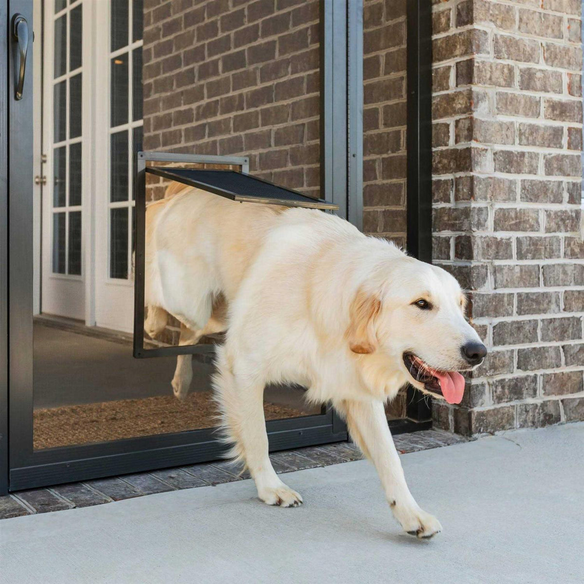 Pet Screen Door S201