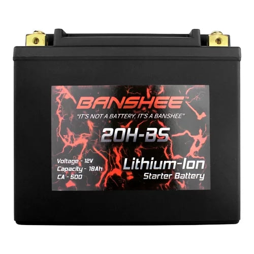 Lithium Ion Sealed Battery High CCA R66662