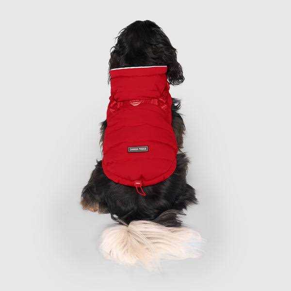 Black Puffer Harness A12736
