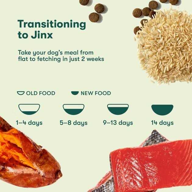 Salmon Brown Rice & Sweet Potato Dry Dog Food F2670