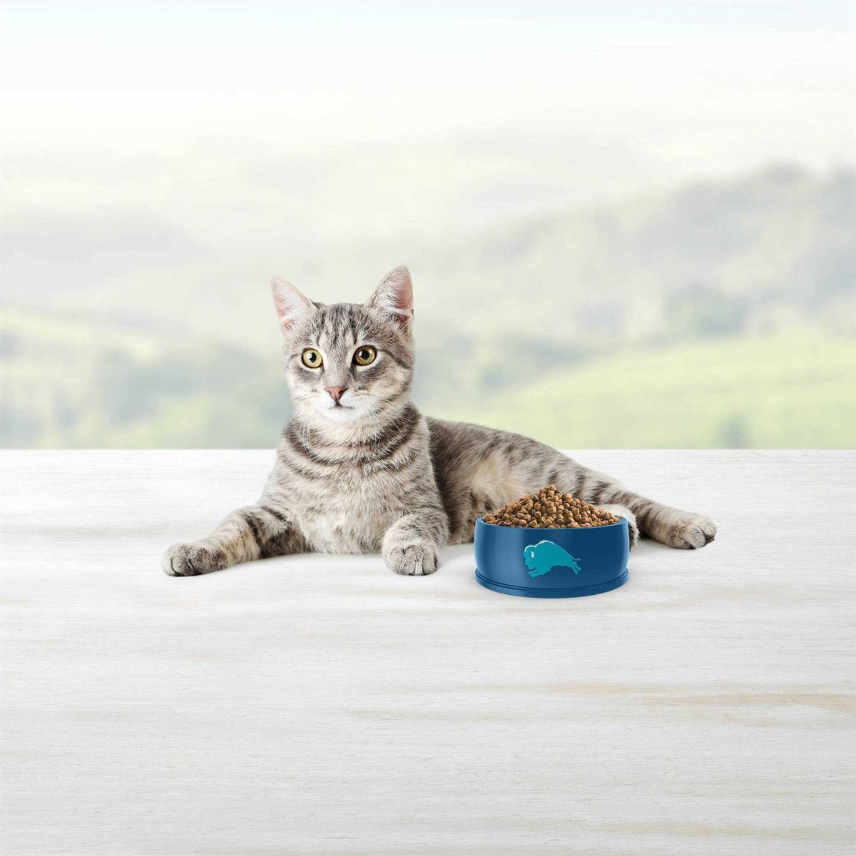 Blue Indoor Hairball Control Dry Cat Food P518816