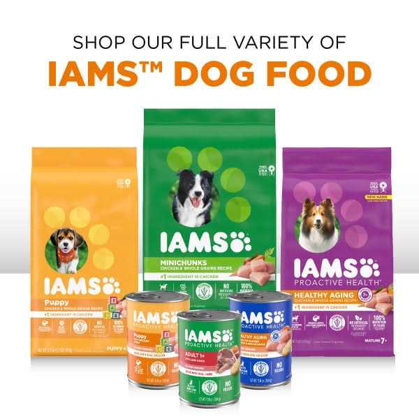 Wet Dog Food Variety Pack H26711
