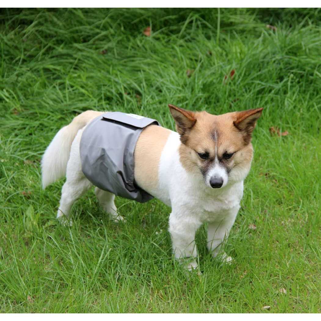 5 Pack Washable Dog Diapers Male F796