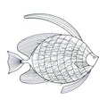 Decorative Wall Décor R968783