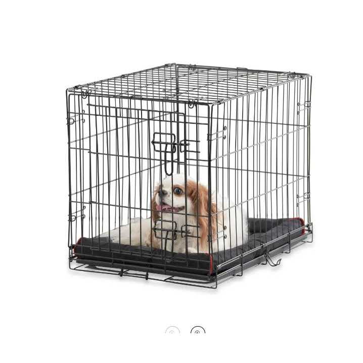 Folding Dog Crate with Divider R224780