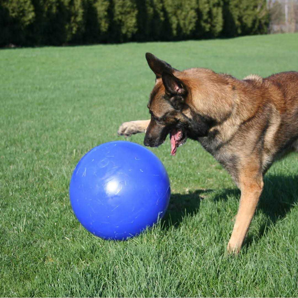 Push n Play Ball J35076