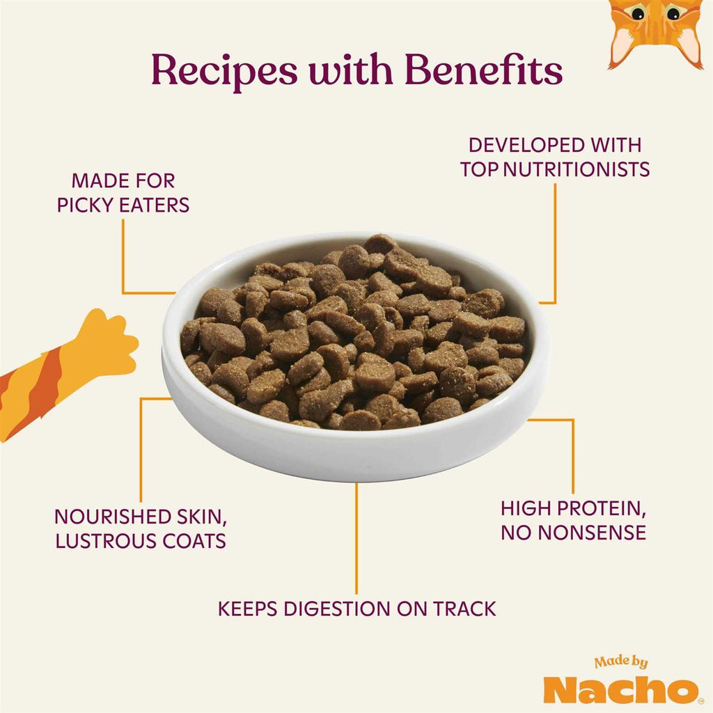 Salmon & Pumpkin Recipe Dry Cat Food H420
