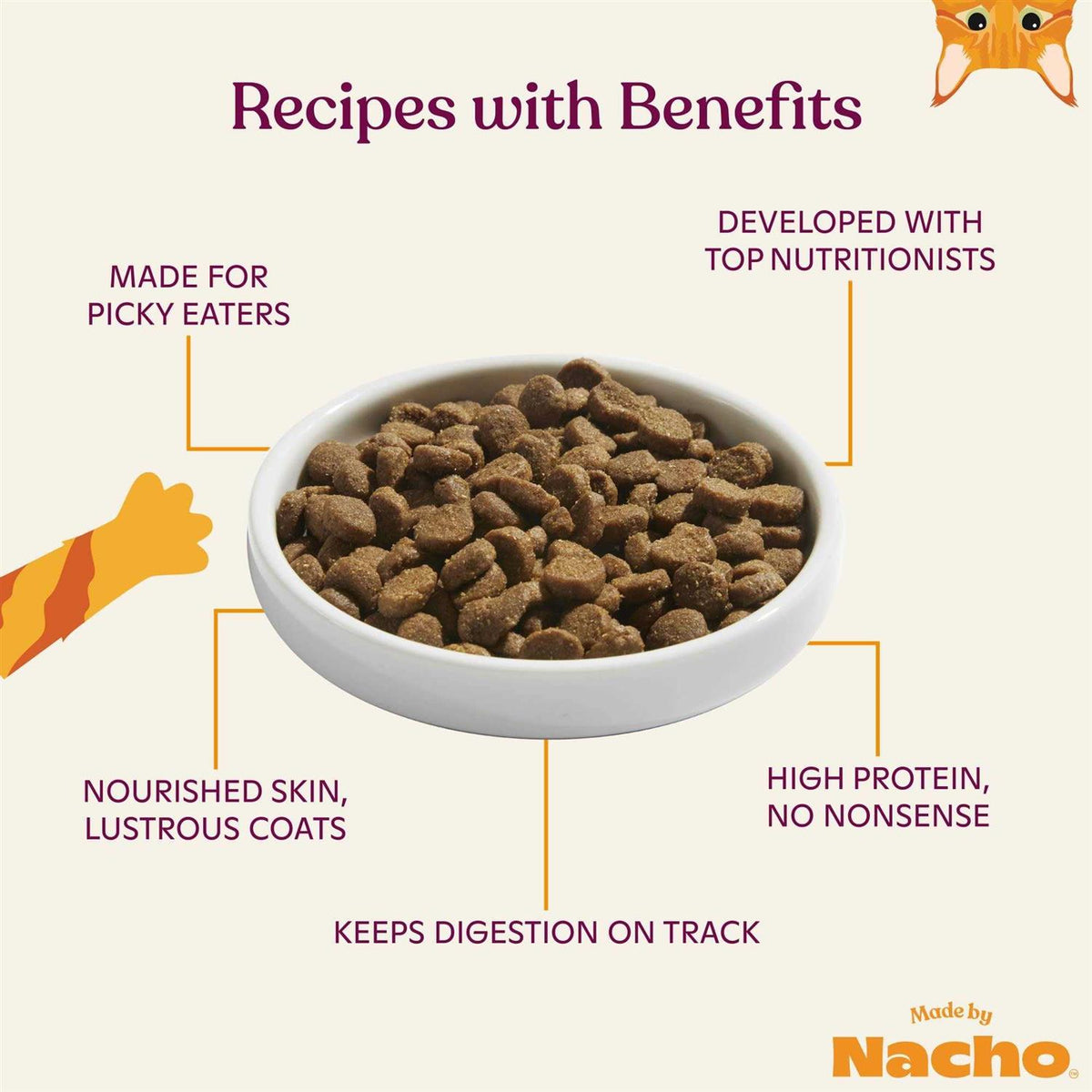 Salmon & Pumpkin Recipe Dry Cat Food H420