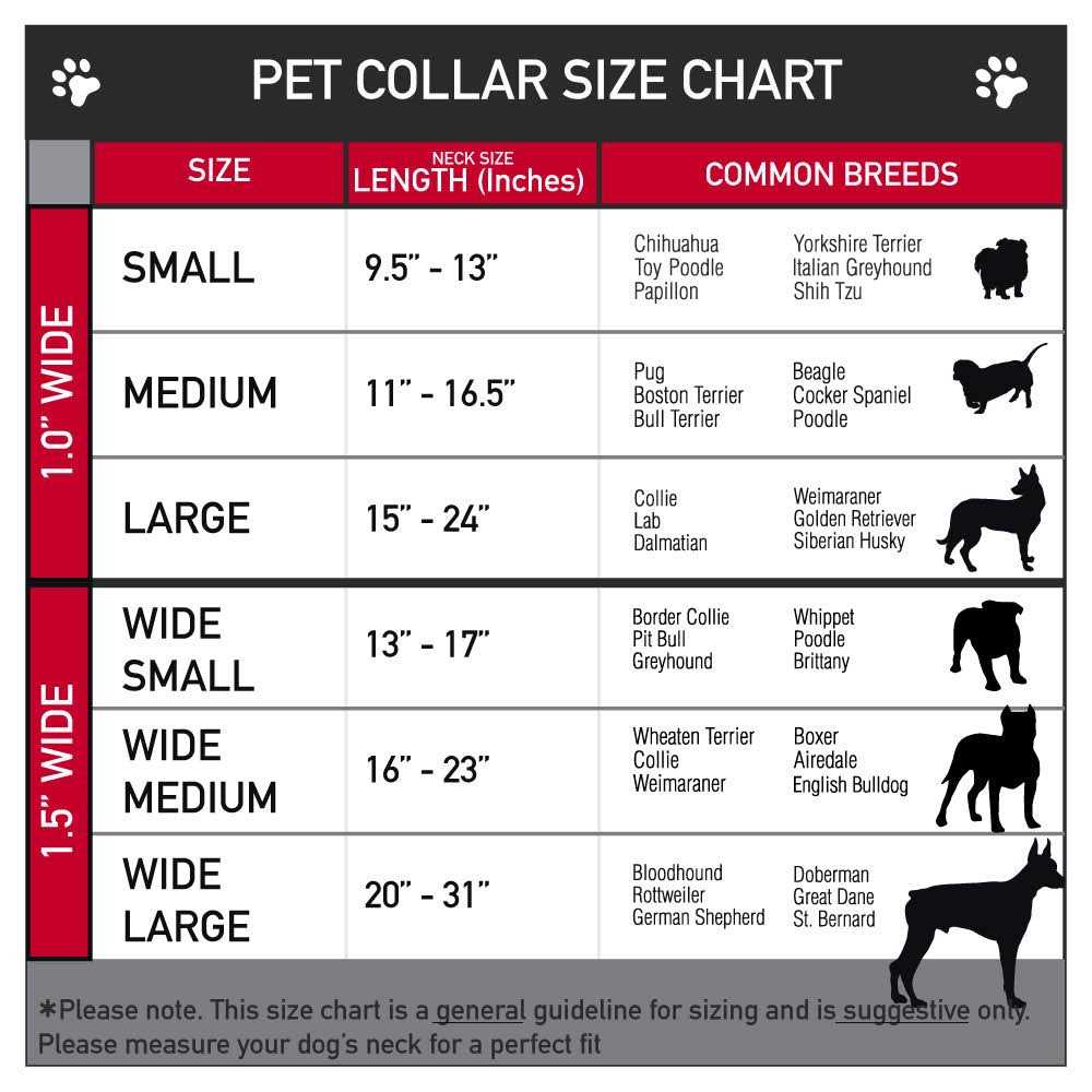 Seatbelt Dog Collar W87521