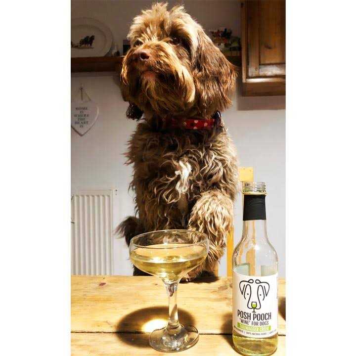 Dog Wine Duo Pack W145298