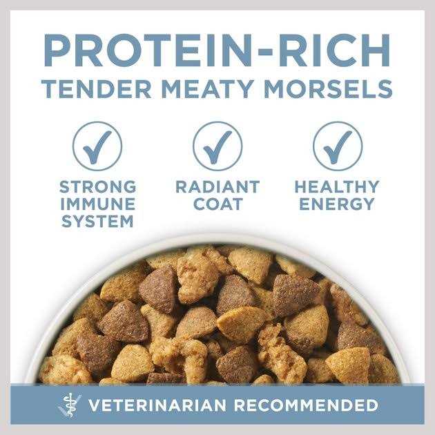 Joint Health Dry Dog Food R748