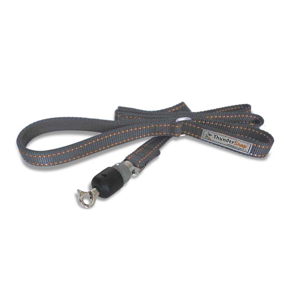 Quick-Connect Dog Leash P4482