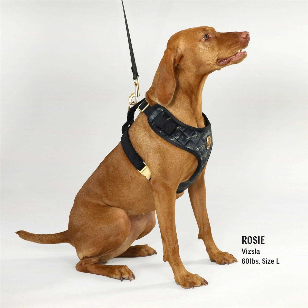 Quilted Pet Harness A3534
