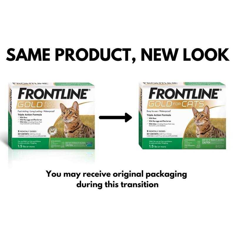 Gold for Cats B587880