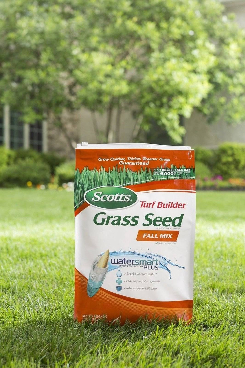 15 Pound Grass Seed G679722