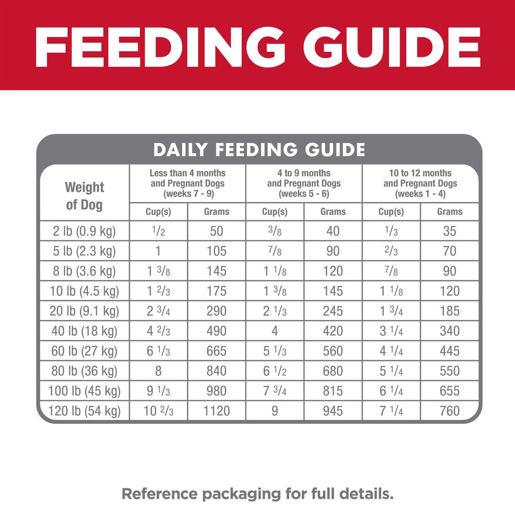 Dry Dog Food K847