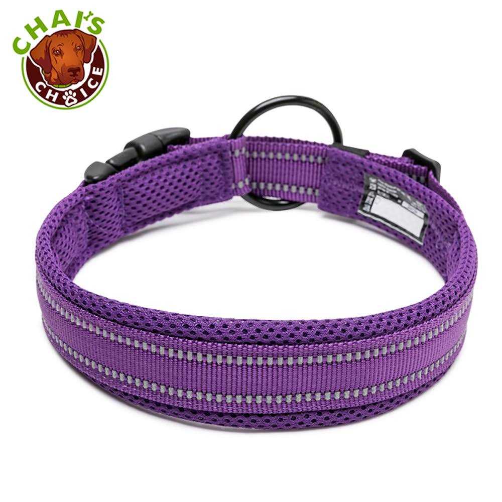 Soft Padded Reflective Dog Collar Q693929