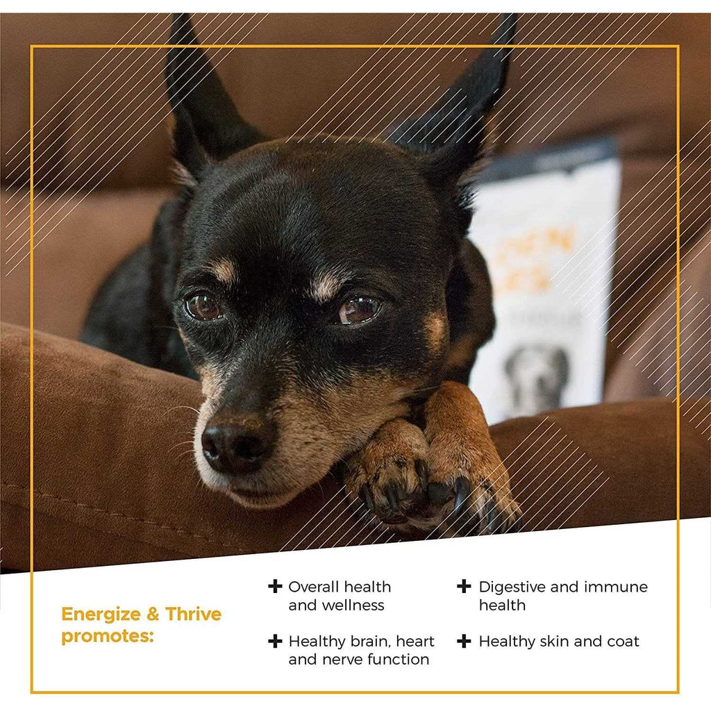 Senior Dogs Multivitamin D3634