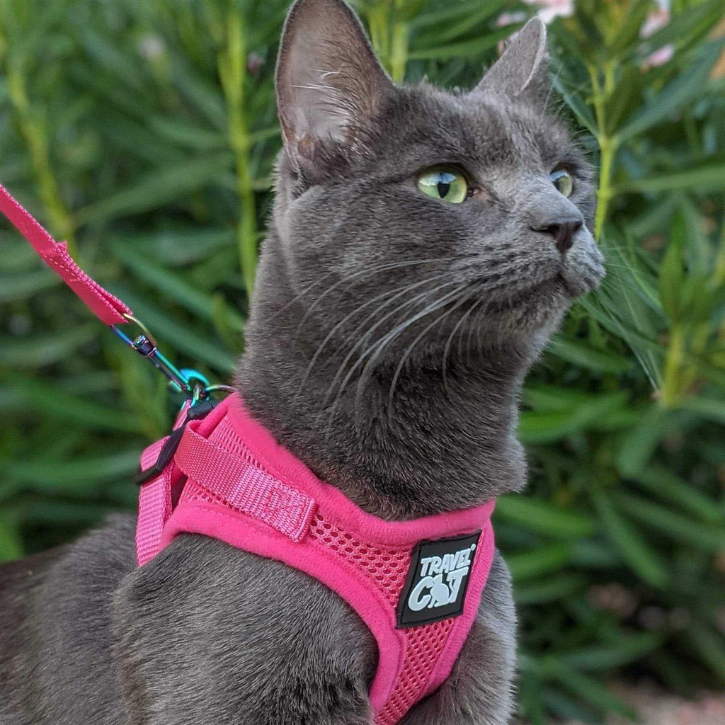 Reflective Cat & Kitten Harness and Leash O757