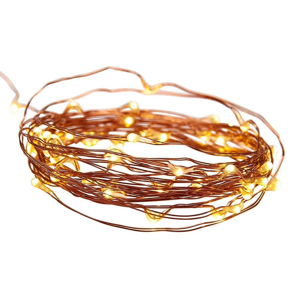 Warm White Copper Wire Lights with Remote W740099
