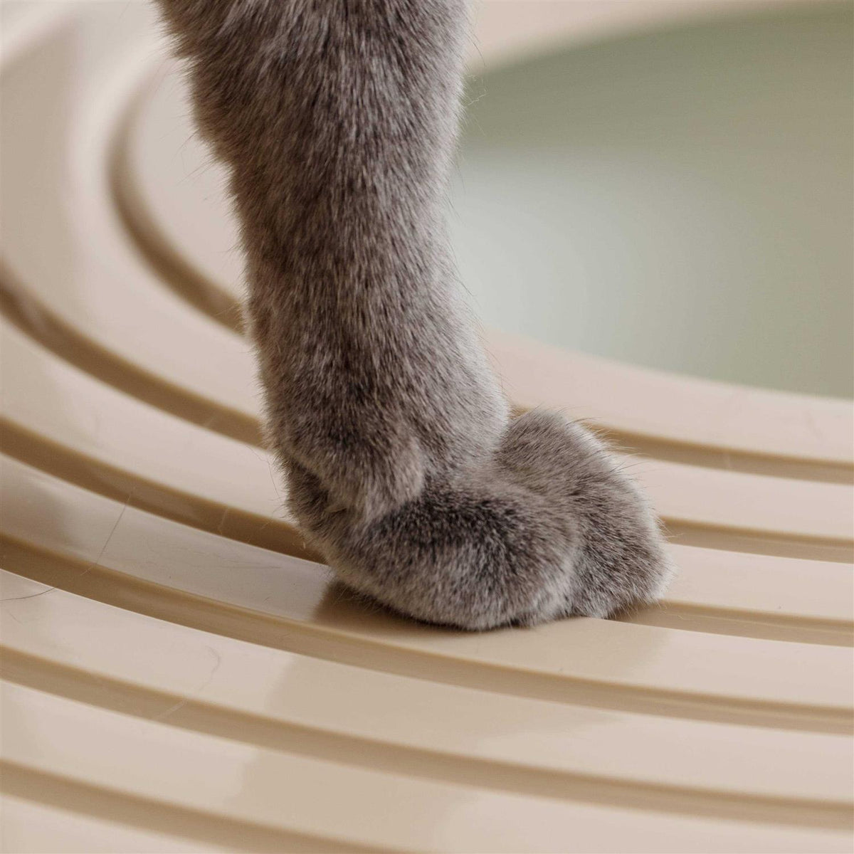 Top Entry Cat Litter Box with Scoop C178156