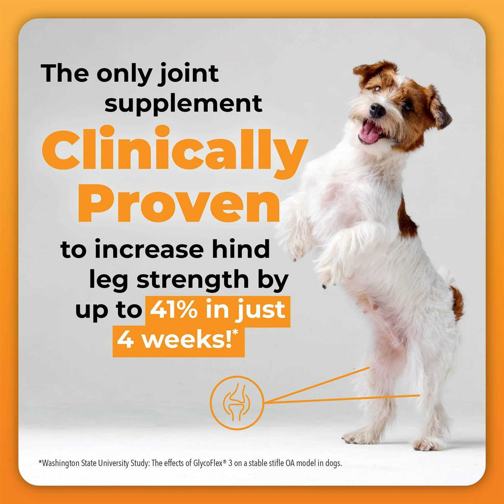 GlycoFlex Plus for Dogs L157252