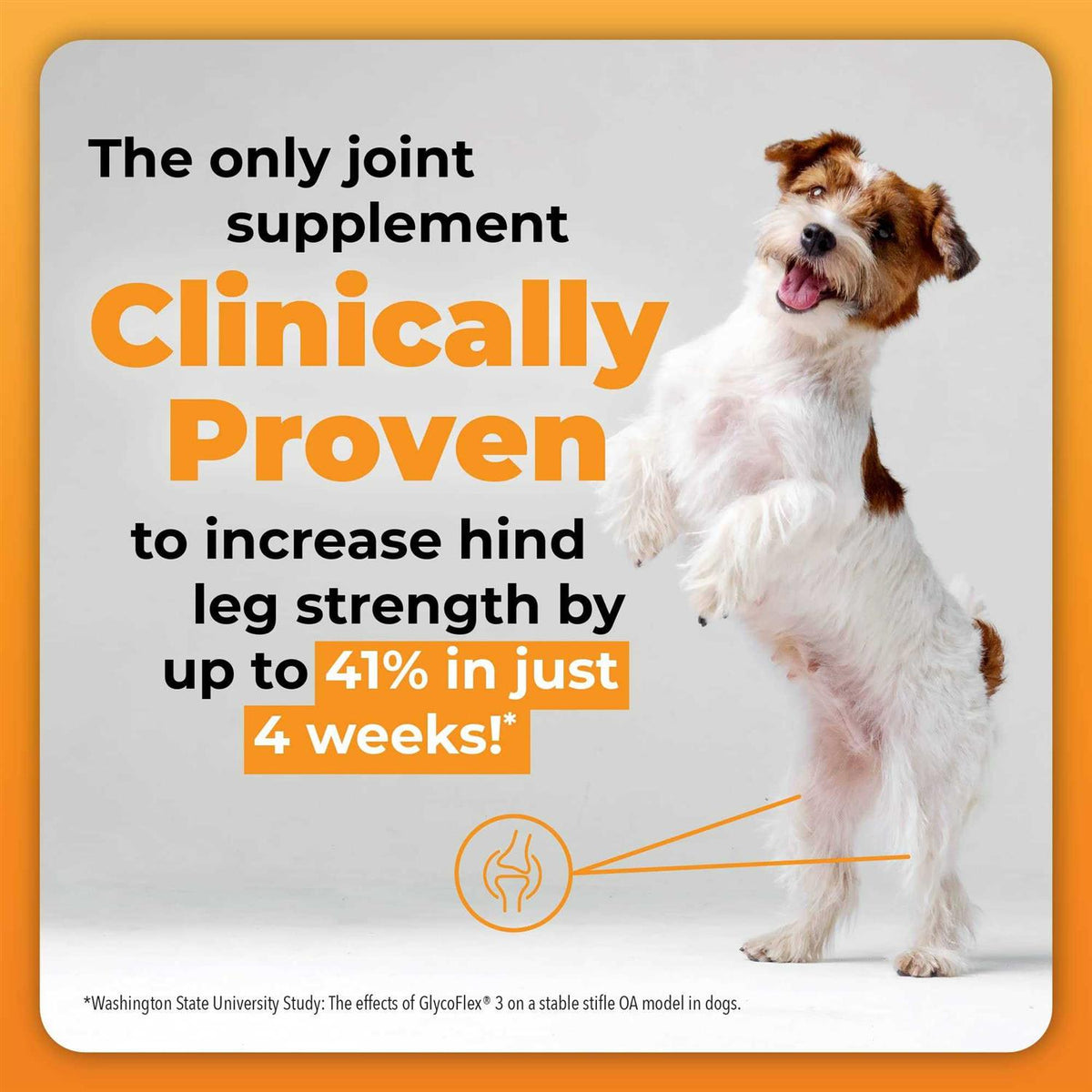 GlycoFlex Plus for Dogs L157252