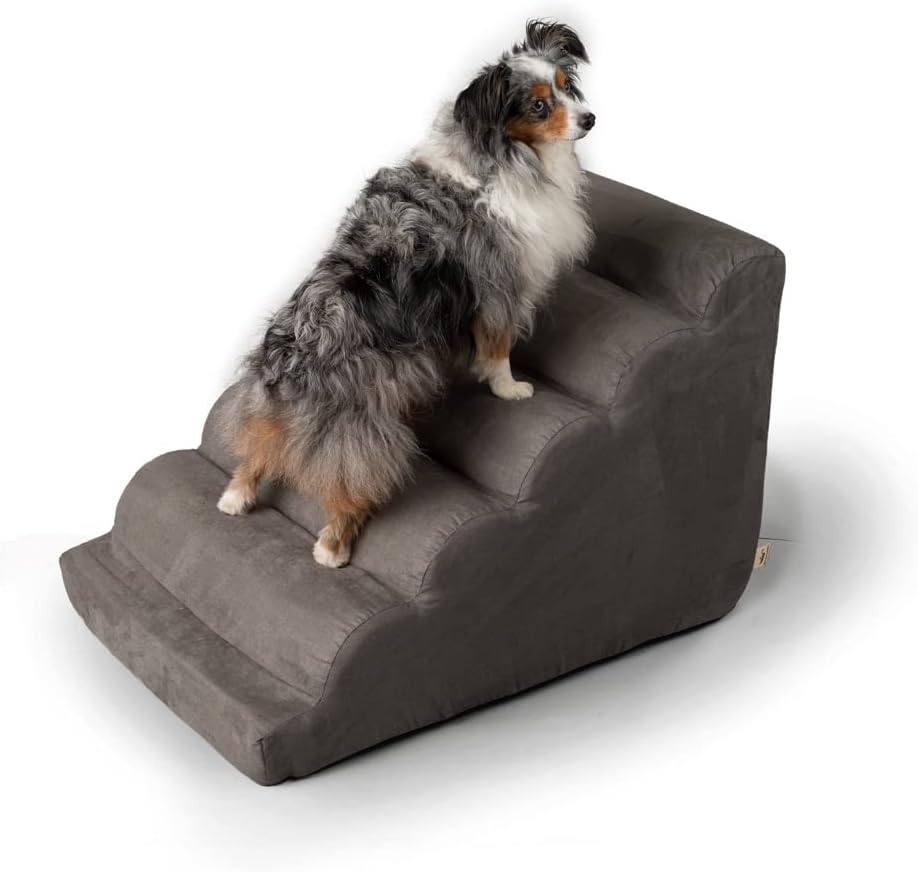 Scalloped Dog Ramp Pack of 2 H66764