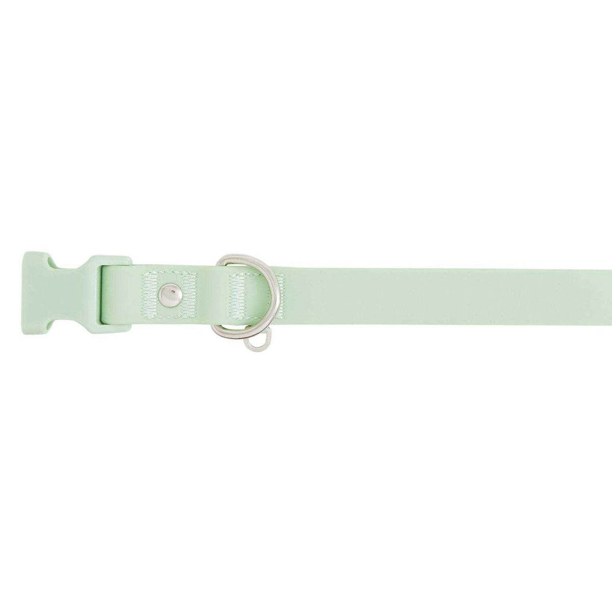Dog Collar B20023