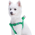Classic Solid Nylon Step-In Dog Harness B412
