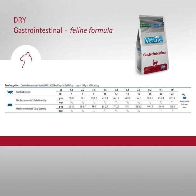 Gastrointestinal Cat Food K915030