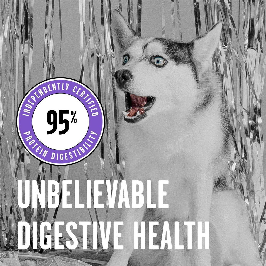 Freeze-Dried Dog Food T331