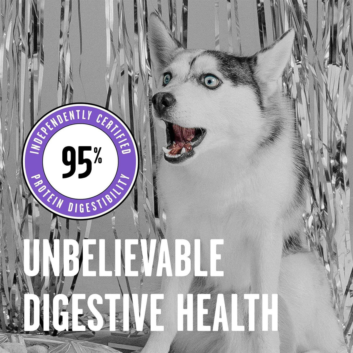 Freeze-Dried Dog Food T331