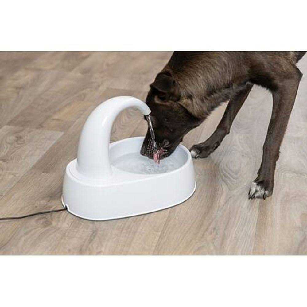 84.5 oz Drinking Fountain X438045