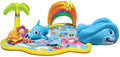 Inflatable Water Slide D8429
