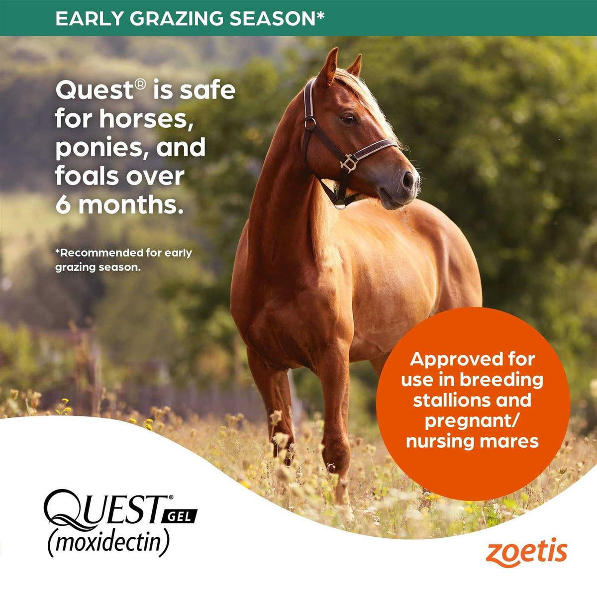Dewormer Gel C9471