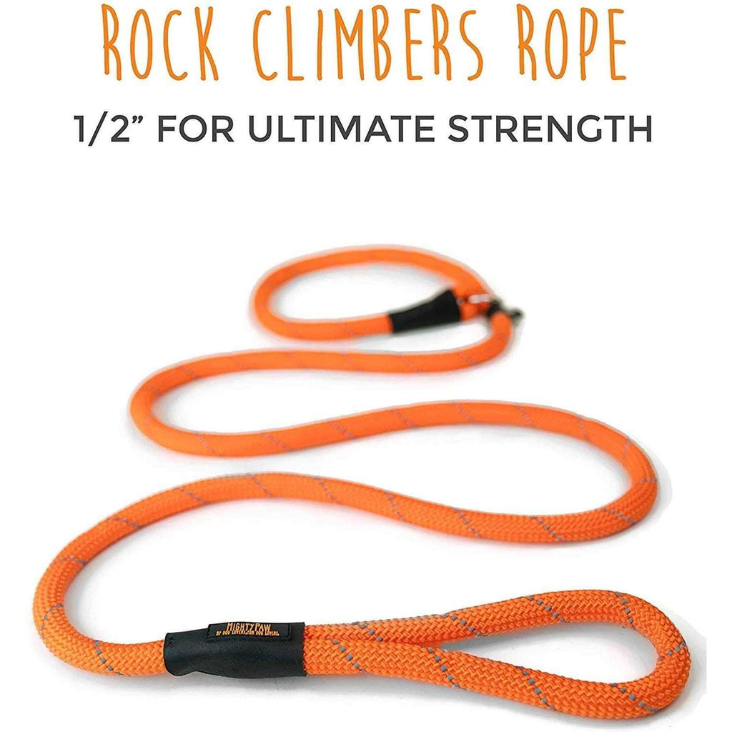 Slip Rope Dog Leash E592169