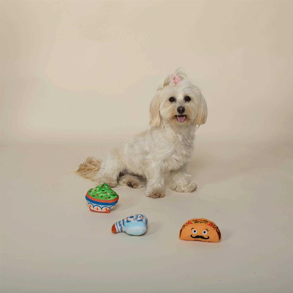 Dog Toy Set P93545