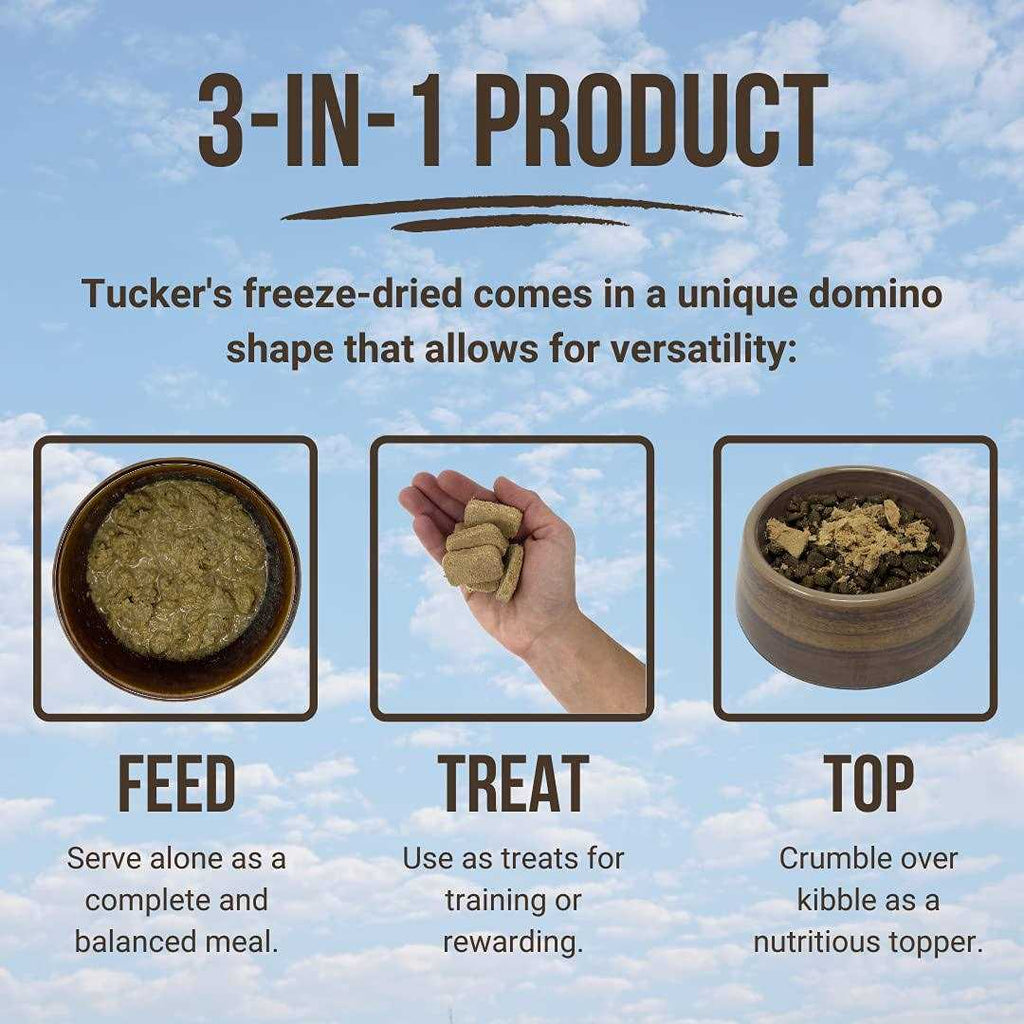 Freeze Dried Beef & Pumpkin 14oz V2313