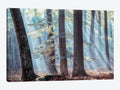 Canvas Prints B14698