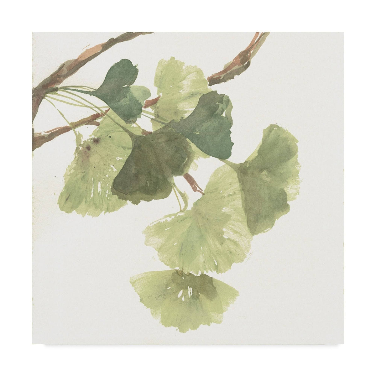 Gingko Leaves I Art B768561