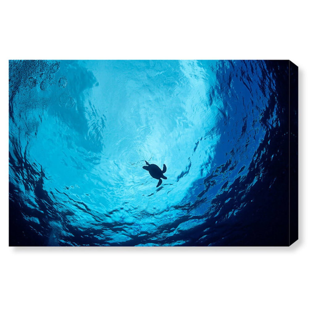 Canvas Art J17297