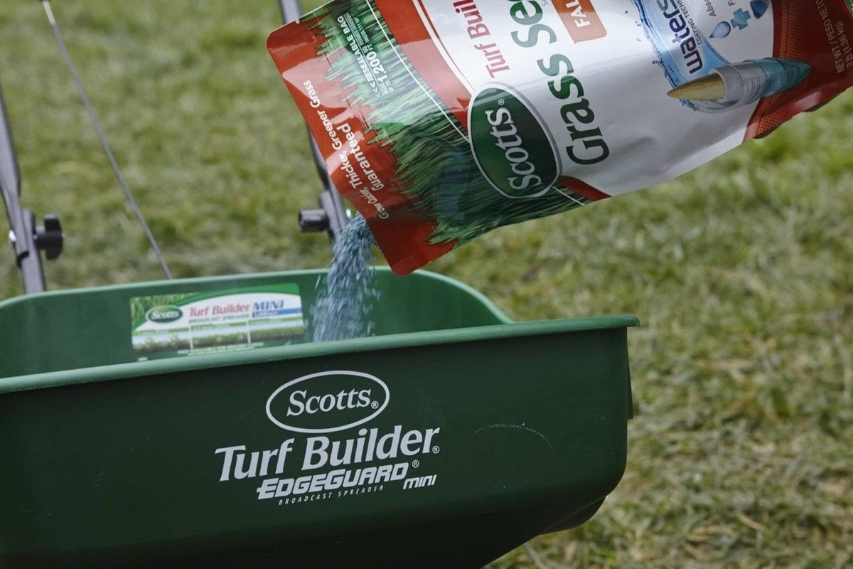 15 Pound Grass Seed G679722